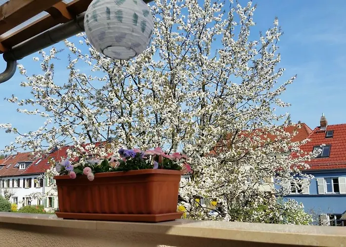 A La Kleinert بيت ضيافة